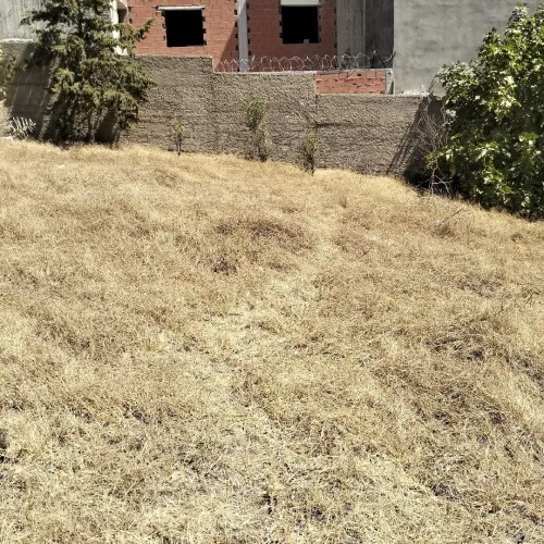 Vente Terrain Alger Birtouta