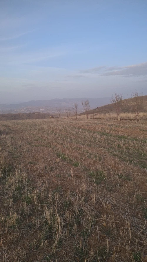 Vente Terrain Bordj Bou Arreridj Medjana