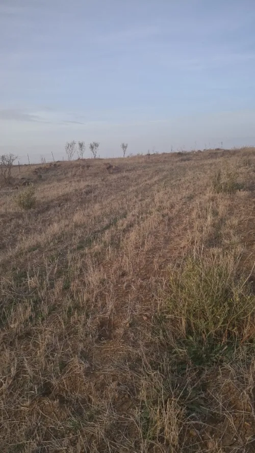 Vente Terrain Bordj Bou Arreridj Medjana