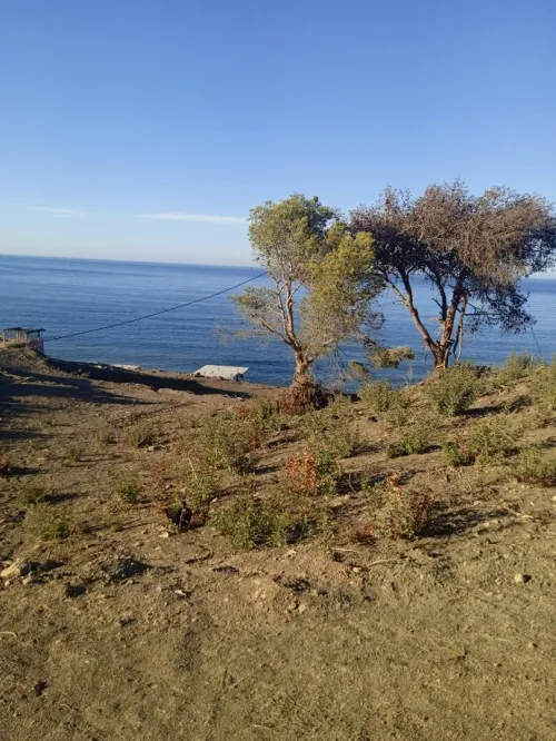 Vente Terrain Tipaza Larhat