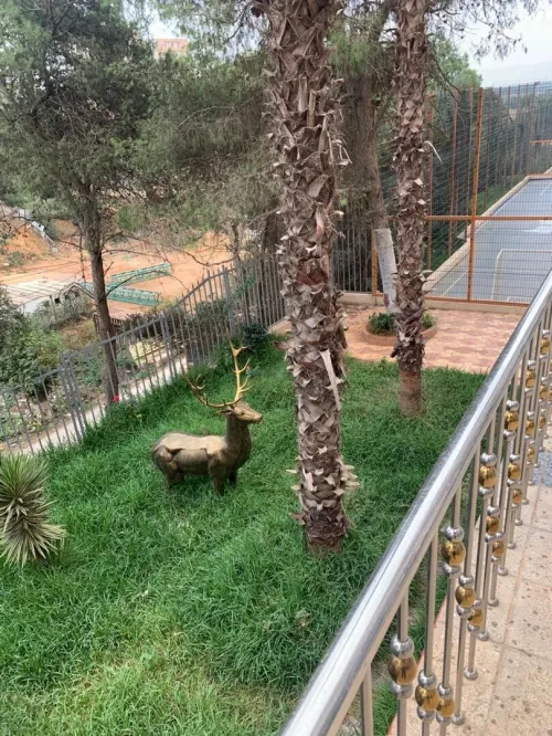 Vente Appartement F4 Tipaza Kolea