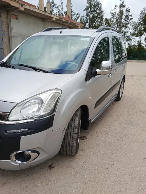 Citroen Berlingo Multispace 2014 Berlingo Multispace