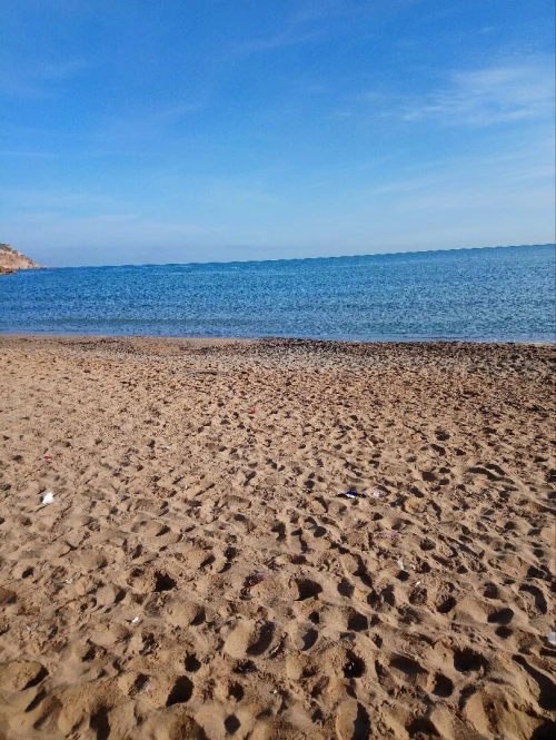 Location Immeuble Tipaza Tipaza