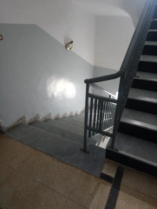 Location Immeuble Tipaza Tipaza