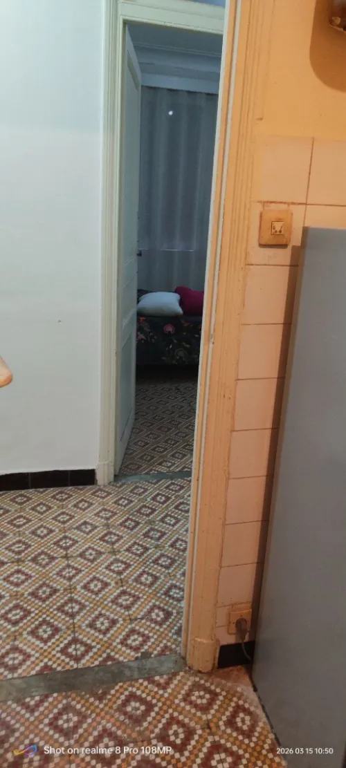 Location Appartement F3 Alger Alger centre