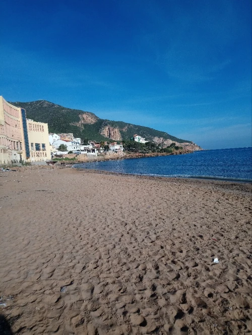 Location Immeuble Tipaza Tipaza