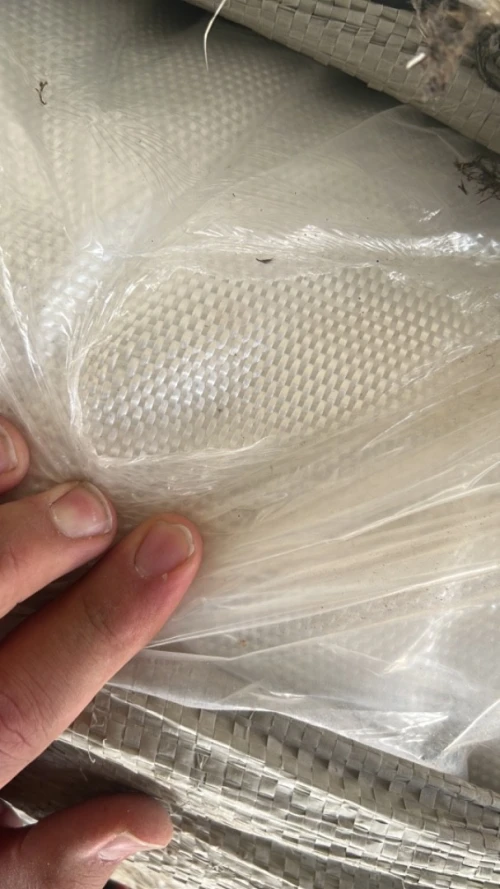 Geotextile de renforcement 