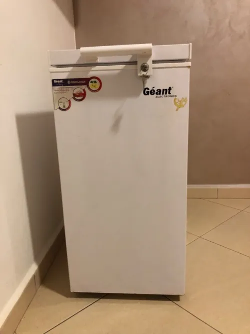 Congélateurs géant 
