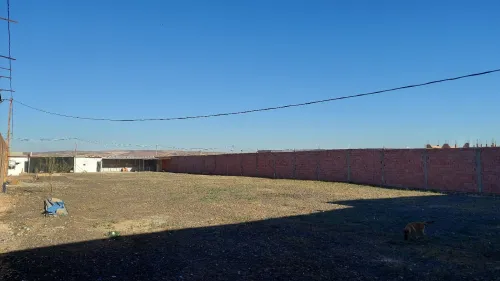 Location Terrain Oran Sidi chami