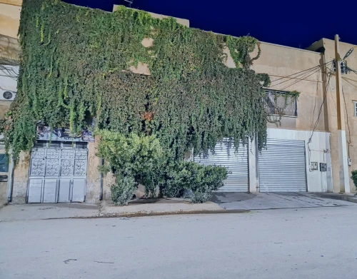 Location Local Djelfa Djelfa