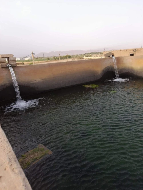 Vente Terrain Agricole Biskra Sidi okba