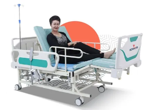 Lit médicalisé électrique multifonctions garde robe en ABS zava