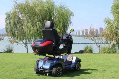 Fauteuil roulante Scooter Mobilité électrique pour personnes âgées ou handicapés de Luxe
