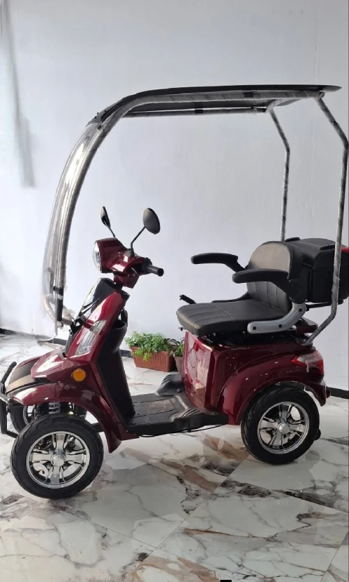 Scooter Moto tricycle électrique 3 roues 4 roues