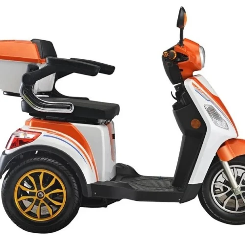 Tricycle à moteur électrique