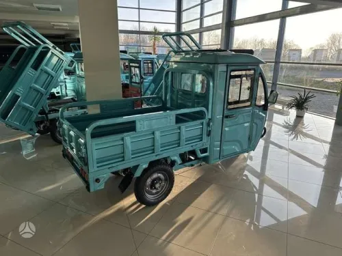 Camionnette moto tricycle électrique 3 roues Cargo 1000W