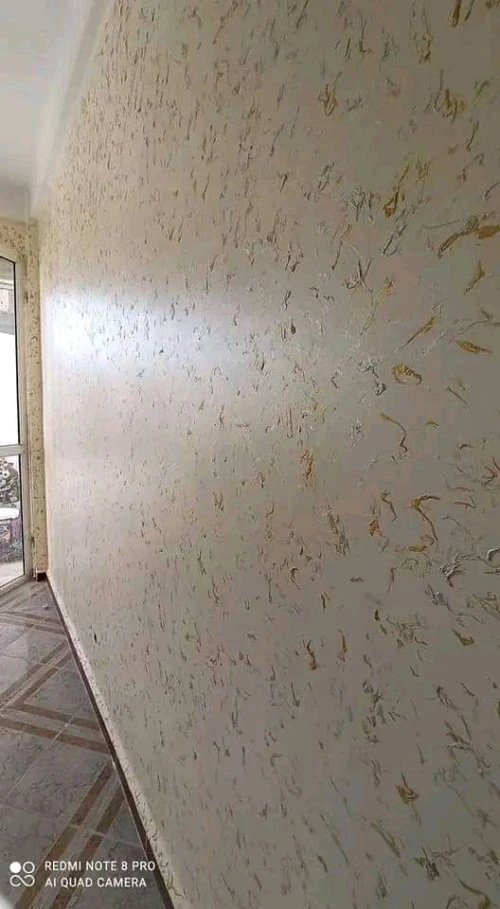 Peintre  plafond pvc