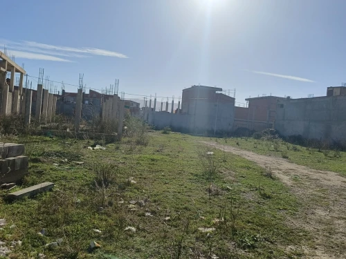 Vente Terrain Blida Ben khellil