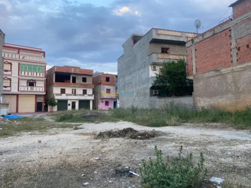 Vente Terrain Guelma Hammam maskhoutine