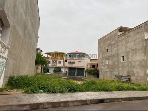 Vente Terrain Guelma Hammam maskhoutine