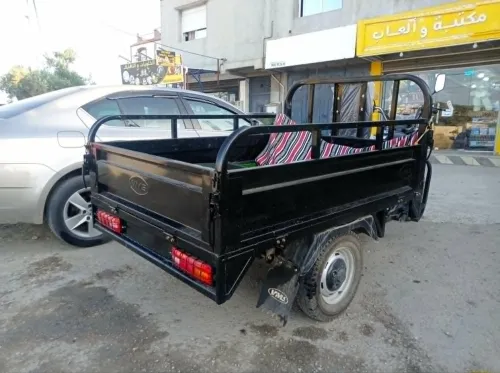 VMS V12 2026