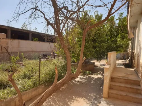 Vente Villa Tiaret Mahdia