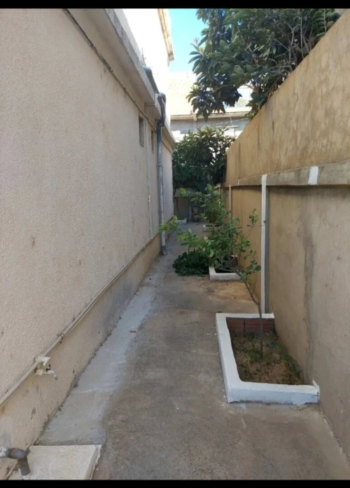 Vente Villa El Tarf Ain el assel