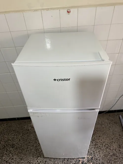 Frigidaire Cristor 310L