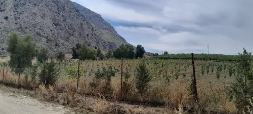 Vente Terrain Agricole Constantine Ibn ziad