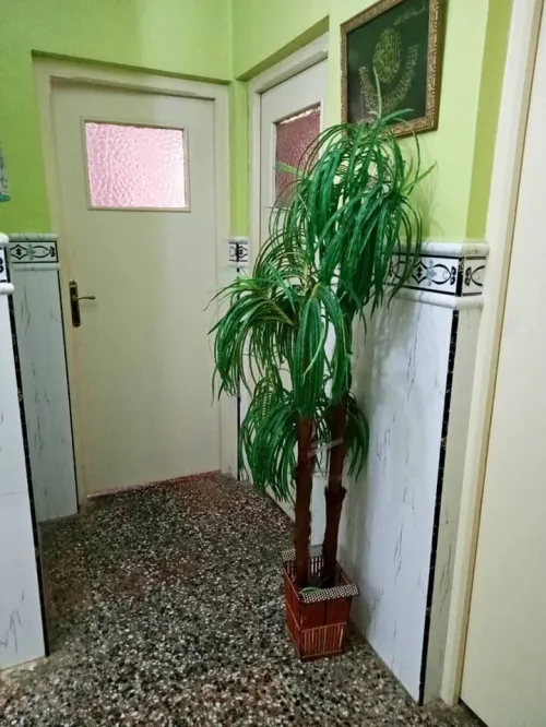 Vente Appartement Niveau de villa F3 Constantine Constantine