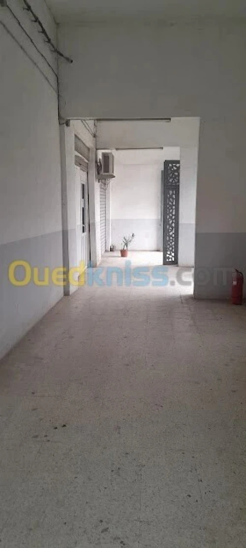 Location Immeuble Constantine El khroub
