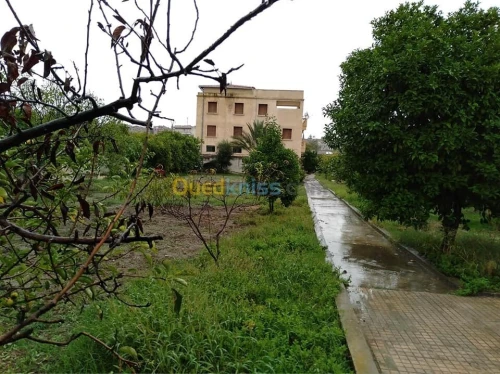 Vente Villa Constantine Constantine