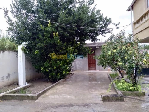 Vente Villa Constantine Constantine