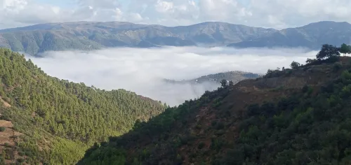 Vente Terrain Sétif Beni ouartilene