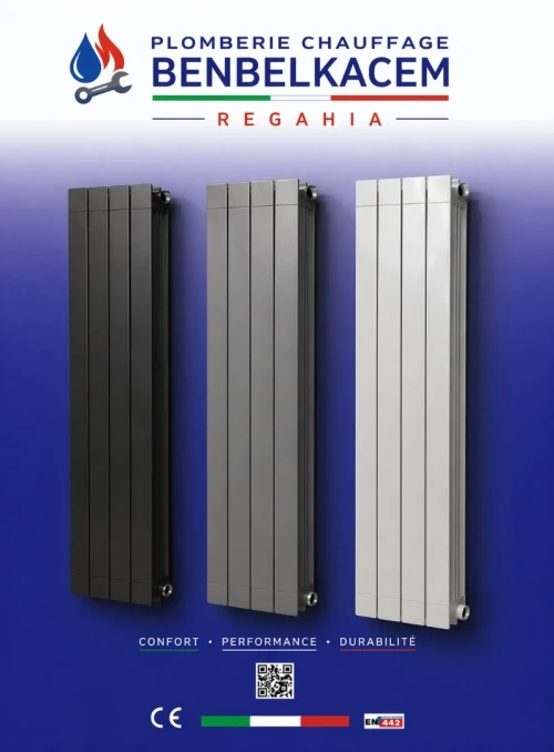 Radiateur Aluminium design en forme pilier colonne 4/5/6 élément 160/180/200cm noir et Blanc