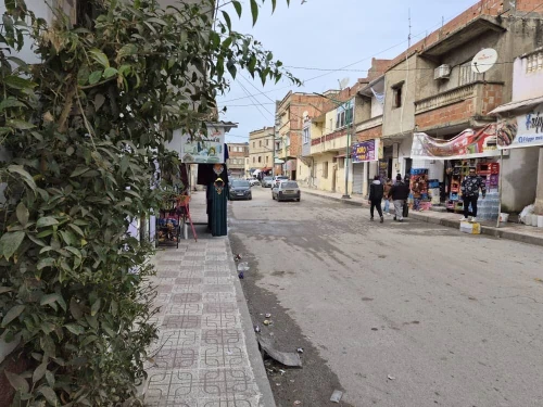 Vente Immeuble Skikda Sidi mezghiche