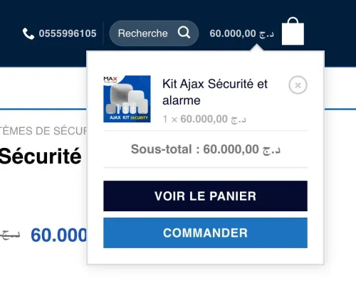 boutique en ligne site web e commerce wordpress + hébergement gratuit 