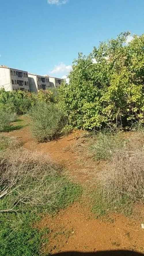 Vente Terrain Alger Birkhadem