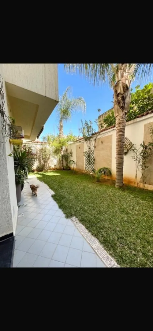 Vente Villa Alger Dely brahim