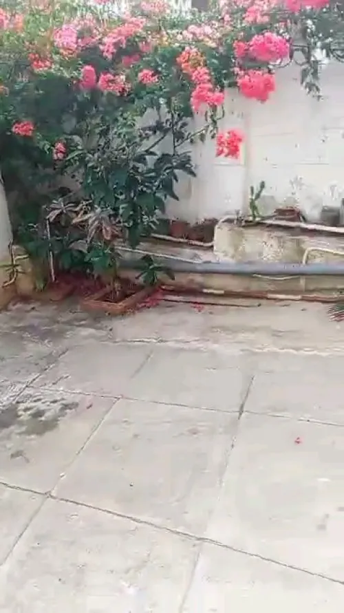Location Villa Alger El mouradia