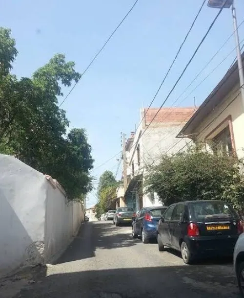 Location Local Alger El mouradia