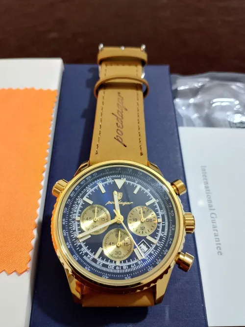 POEDAGAR 960 Luxury Man Watch