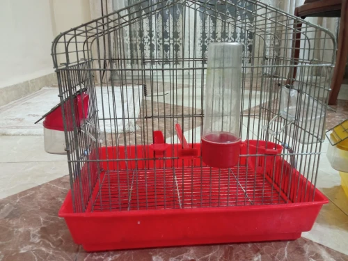 Cage de oiseau 