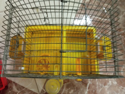 Cage de oiseau 