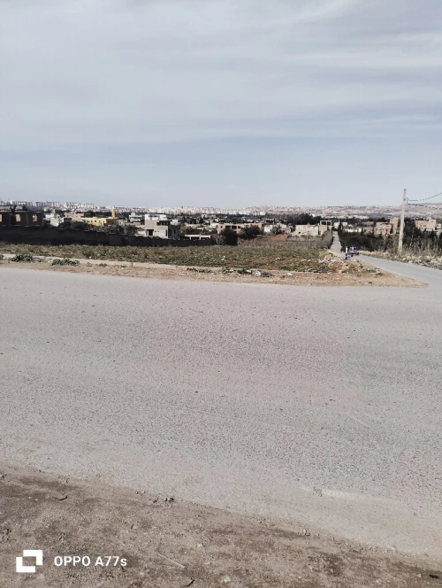 Vente Terrain Mostaganem Sayada