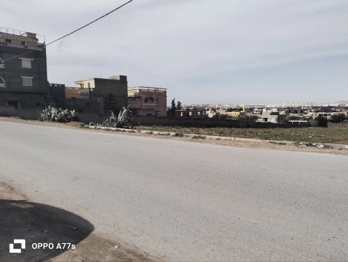 Vente Terrain Mostaganem Sayada