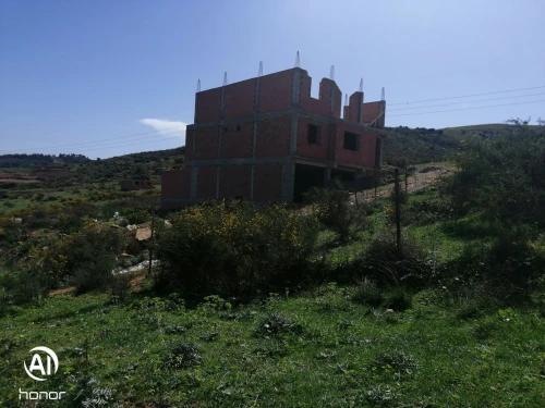 Vente Terrain Blida Bouinan