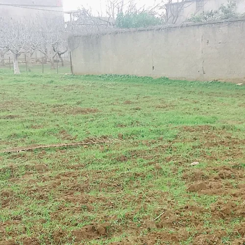 Vente Terrain Boumerdès Ouled hedadj