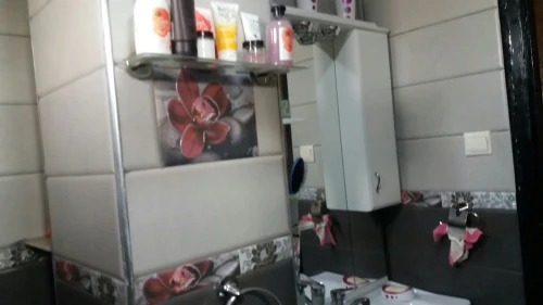 Vente Appartement F3 Alger Birkhadem