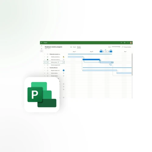 Microsoft Project Pro 2021/2019/2016